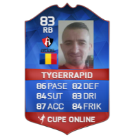TygerRapid